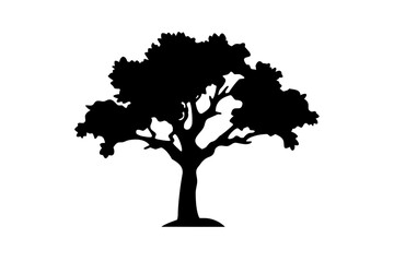 Desert Osage Orange Tree Silhouette arid