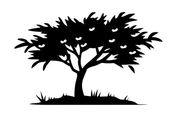 Desert Rain Tree Silhouette plant