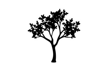 Obraz premium Dwarf Hawthorn Tree Silhouette dwarf tree white background