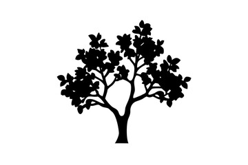 Dwarf quince tree silhouette with bare branches plant
