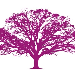 Obraz premium majestic purple tree silhouette: a vector illustration isolated on transparent background