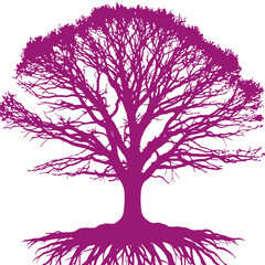 Obraz premium majestic purple tree silhouette with exposed roots, isolated on transparent background