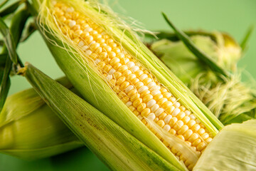 organic sweet corn in green husk on background