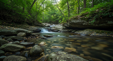 Obraz premium Crystal-Clear Forest Stream Over Smooth Stones with Silky Water Effect – Sharp Background, Lush Landscape
