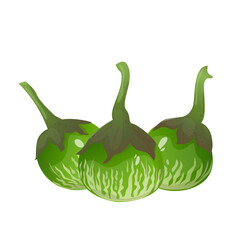 Thai eggplants, tropical vegetable is widely used in Southeast Asian cuisine. For food packaging, recipe books, restaurant menus, educational materials, blogs and farm market promotion