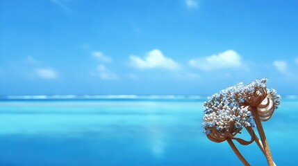 Dried Allium Pods Against Turquoise Sea - Serene, Minimalist Nature Still Life
