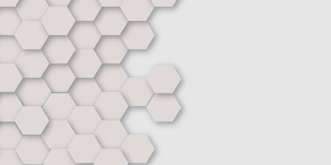 Abstract geometric Technology white hexagon background. Vector Illustration on white and grey background. 