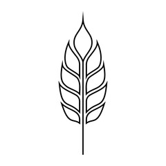 Outlined wheat ear icon on a transparent background