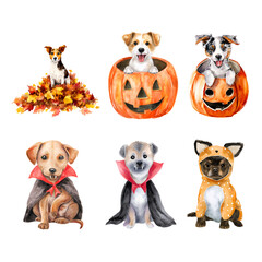 Cute and playful dogs in festive costumes for Halloween fun and celebration. Halloween Pet isolated on white background, Transparent Background