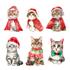 Adorable cats dressed in festive holiday attire ready for Christmas celebration. Christmas Pet isolated on white background, Transparent Background