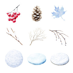 A collection of watercolor botanical elements showcasing seasonal nature. Snow Dusted isolated on white background, Transparent Background