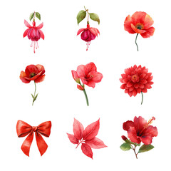 A collection of vibrant red flowers with delicate petals and lush greenery. Garden isolated on white background, Transparent Background