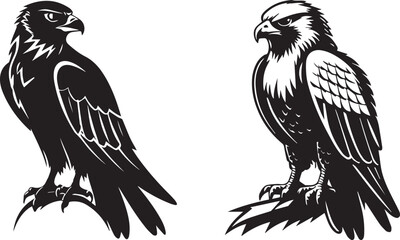 Two Eagle Sitting black and white vector animals 