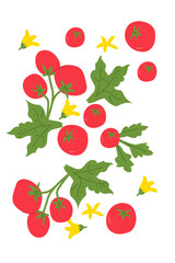 Fresh red tomatoes with green leaves and yellow flowers on white background. Contemporary minimal vegetable poster with bright colors. Modern vertical design.