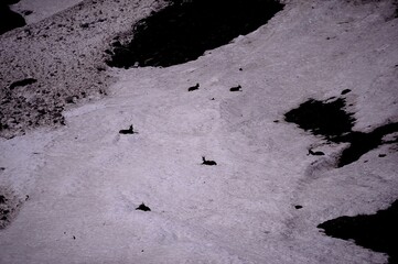 Landscape of mountain