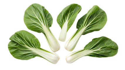Pak Choy (Bok Choy), isolated transparent background