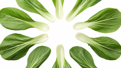 Pak Choy (Bok Choy), isolated transparent background