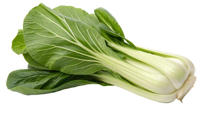 Pak Choy (Bok Choy), isolated transparent background