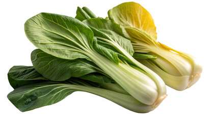 Pak Choy (Bok Choy), isolated transparent background