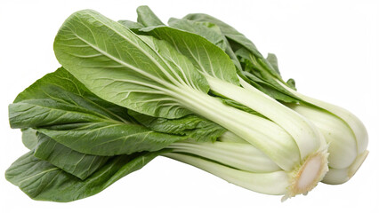 Pak Choy (Bok Choy), isolated transparent background