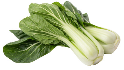 Pak Choy (Bok Choy), isolated transparent background