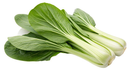 Pak Choy (Bok Choy), isolated transparent background