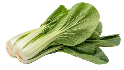 Pak Choy (Bok Choy), isolated transparent background