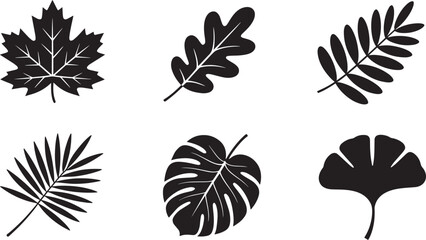 Botanical Foliage Collection A Variety of Leaf Silhouettes for Nature Inspired Designs and Decoration