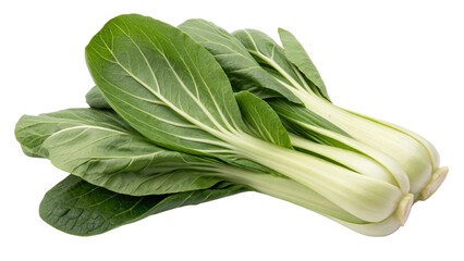 Pak Choy (Bok Choy), isolated transparent background