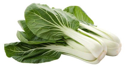 Pak Choy (Bok Choy), isolated transparent background