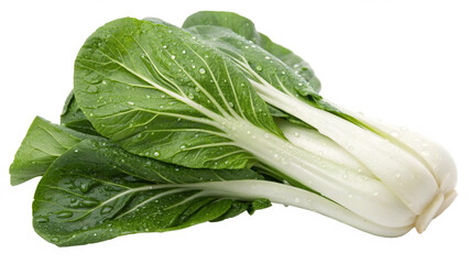 Pak Choy (Bok Choy), isolated transparent background