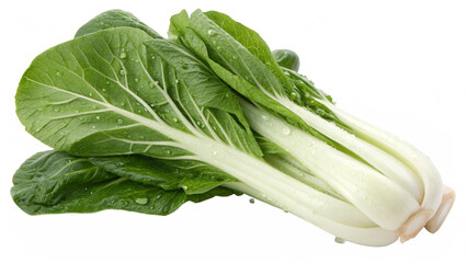 Pak Choy (Bok Choy), isolated transparent background