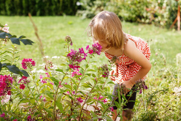 5 year old girl smelling flowers in the garden