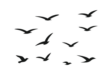 Bird Silhouettes in Flight on White Background – Minimalist Vector Design