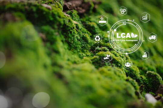 Mossy Ground with Life Cycle Assessment Icons and Environmental Themes