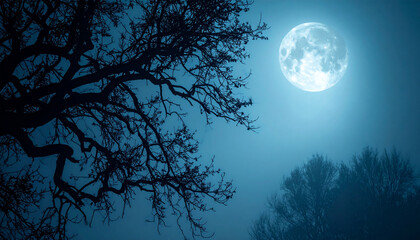 Fototapeta premium Silhouette of tree branches against full moon in foggy night sky, mystical Halloween vibe.