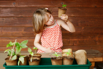 girl studying potted plants while sitting on veranda