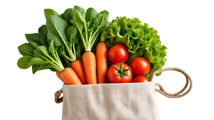 Reusable Cotton Mesh Bag with Fresh Vegetables Isolated on White for Zero Waste Concept