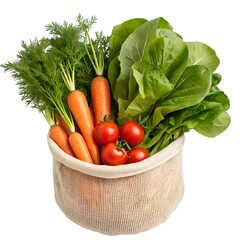 Reusable Cotton Mesh Bag with Fresh Vegetables Isolated on White for Zero Waste Concept