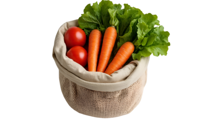 Reusable Cotton Mesh Bag with Fresh Vegetables Isolated on White for Zero Waste Concept