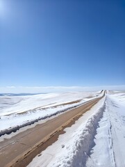 long dirt road through snowy landscape under clear blue sky in winter