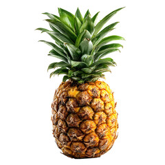 Fototapeta premium Ripe Pineapple Isolated on Black Background,