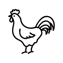 rooster vector illustration