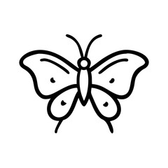 butterfly vector illustration