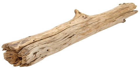 Textured Driftwood Log