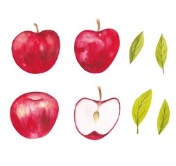 A set of red apples with watercolor leaves on a white background