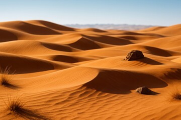 Desert landscape with sweeping sand dunes, scattered rocks, and visible heat waves on the distant horizon

