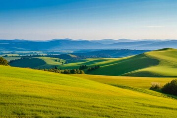 Obraz premium landscape with green grass and blue sky