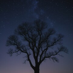 A beautiful silhouette of a tree with intricate branches standing against a stunning starry night sky. A dreamy and mystical composition with an astrophotography feel.