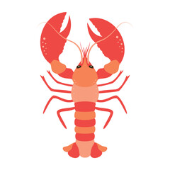 cartoon lobster isolated, flat style